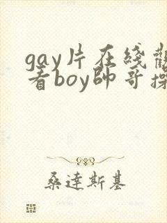 gay片在线观看boy帅哥操