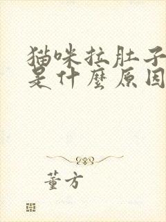 猫咪拉肚子呕吐是什么原因引起的呢