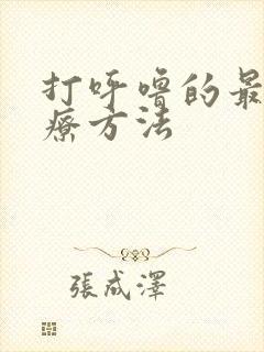 打呼噜的最快治疗方法封面