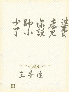 少帅你老婆又跑了小说免费听书