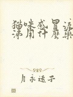 猫咪感冒流黄鼻涕用什么药