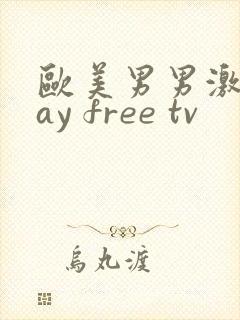 欧美男男激情gay free tv