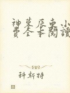 神墓辰东小说免费全本阅读