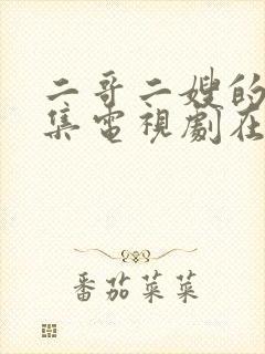 二哥二嫂的40集电视剧在线观看