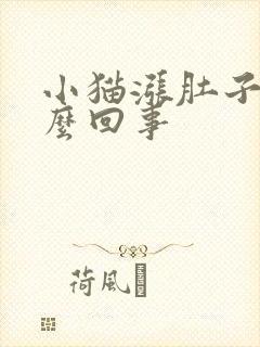 小猫涨肚子是怎么回事