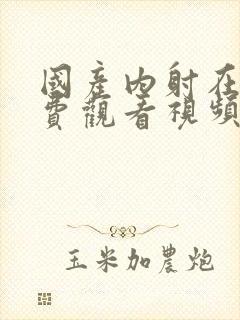 国产内射在线免费观看视频