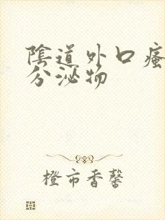 阴道外口瘙痒有分泌物