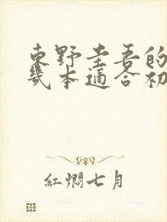 东野圭吾的书哪几本适合初中生看