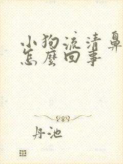 小狗流清鼻涕是怎么回事