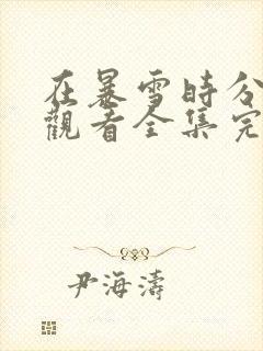 在暴雪时分免费观看全集完整版