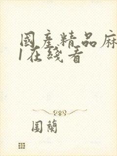 国产精品麻豆91在线看