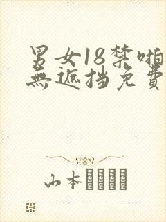 男女18禁啪啪无遮挡免费