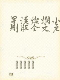 星汉灿烂小说未删版全文免费阅读