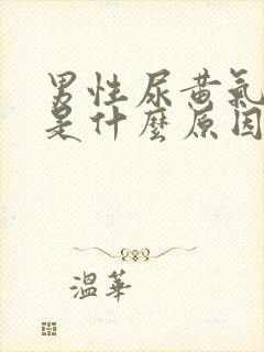 男性尿黄气味大是什么原因引起的