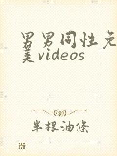 男男同性免费欧美videos封面