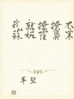 我就撩撩不负责苏婉霍枭寒全文免费阅读