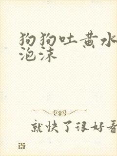 狗狗吐黄水带白泡沫