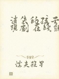 消失的孩子 电视剧 在线观看