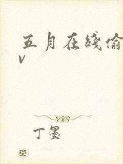 五月在线偷拍av