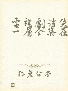 电视剧消失的十一层全集在线观看免费