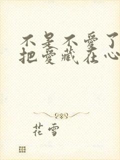 不是不爱了而是把爱藏在心里了