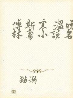 傅斯寒 温晚 林鸢小说名字