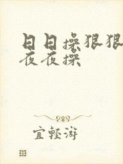日日操狠狠操和夜夜操封面