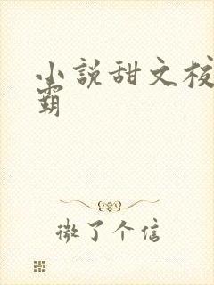 小说甜文校园校霸