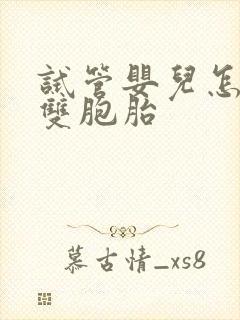 试管婴儿怎样生双胞胎封面