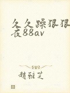 久久躁狠狠躁夜夜88av