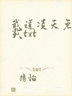 武道凌天免费下载txt