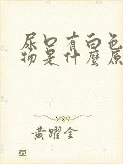 尿口有白色分泌物是什么原因