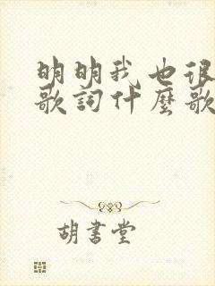 明明我也很爱你歌词什么歌封面
