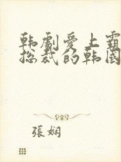 韩剧爱上霸道女总裁的韩国电视剧