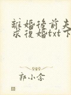 离婚后前夫哭着求复婚txt下载完本封面