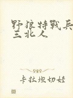 野狼特战兵王 三北人封面