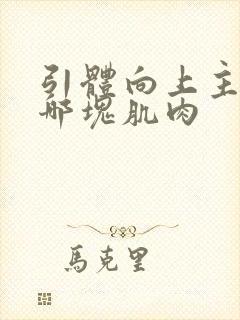 引体向上主要靠哪块肌肉