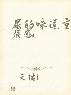 尿的味道重有刺痛感