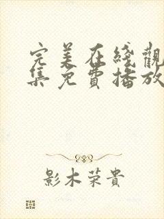 完美在线观看全集免费播放