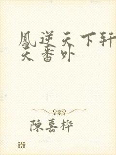 凤逆天下轩辕问天番外