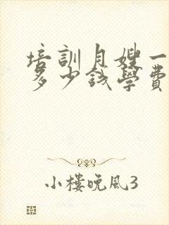 培训月嫂一般要多少钱学费