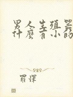 男人生殖器里为什么有小的疙瘩