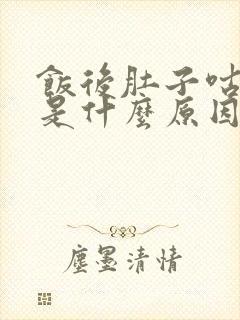 饭后肚子咕咕响是什么原因导致的