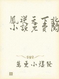 凤逆天下北月篇小说免费阅读