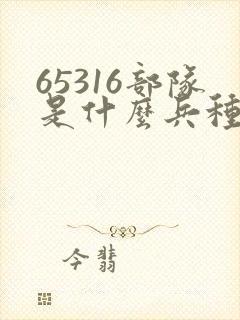 65316部队是什么兵种