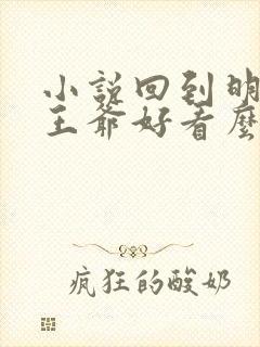 小说回到明朝当王爷好看么