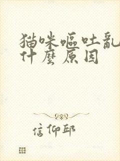 猫咪呕吐乱尿是什么原因封面