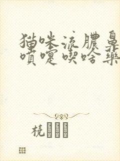 猫咪流脓鼻涕打喷嚏吃啥药