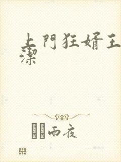 上门狂婿王浩李洁