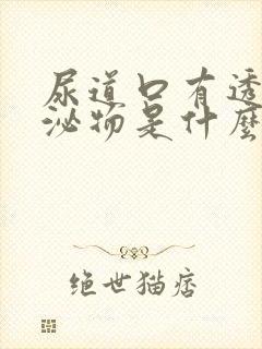 尿道口有透明分泌物是什么